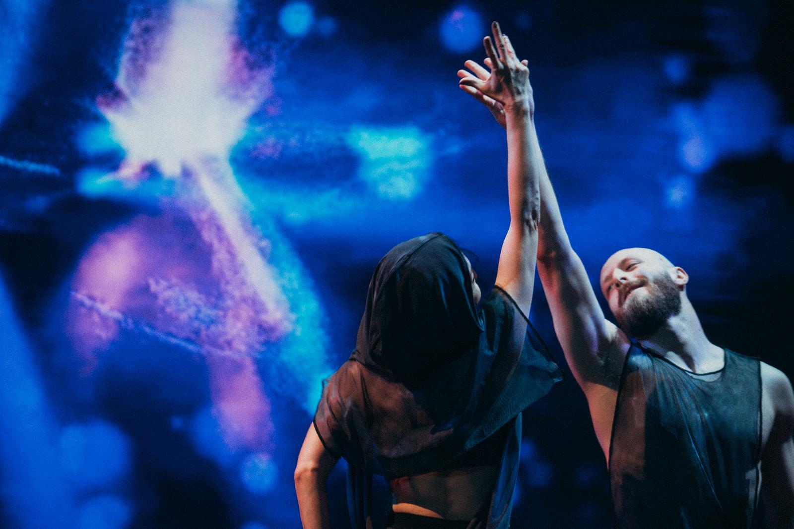 The Holomovement Wave 2026